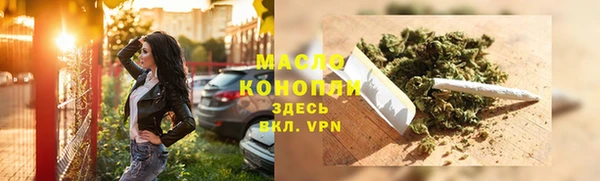 хмурый Ельня