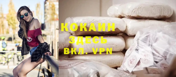шишки Елабуга