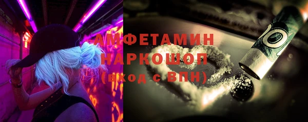хмурый Ельня