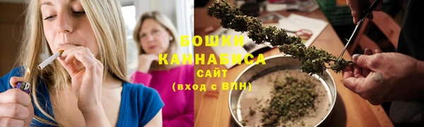 хмурый Ельня