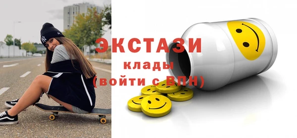 хмурый Ельня