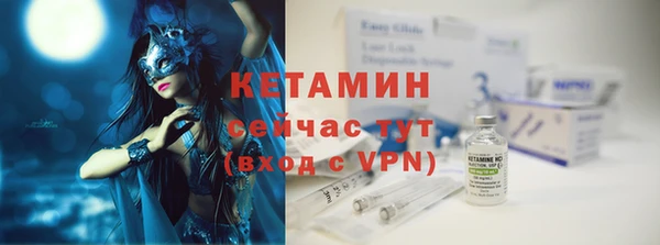 хмурый Ельня