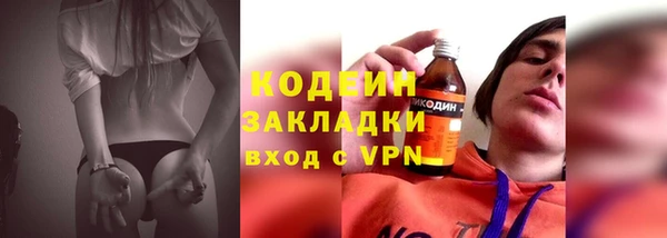 хмурый Ельня