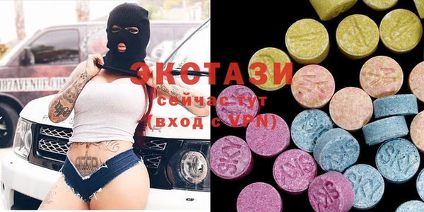 хмурый Ельня