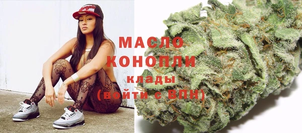 хмурый Ельня