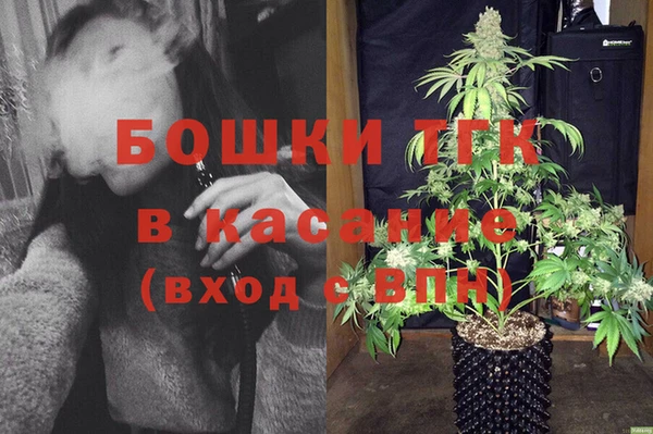 шишки Елабуга