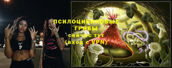 шишки Елабуга