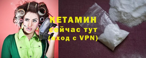 хмурый Ельня