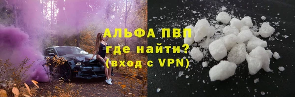 хмурый Ельня