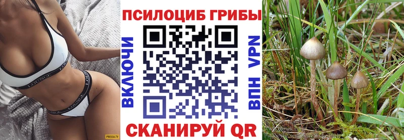 продажа наркотиков  ОМГ ОМГ маркетплейс  Галлюциногенные грибы ЛСД  Западная Двина 