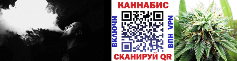 Конопля MAZAR Западная Двина